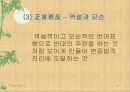 도가사상 프리젠테이션 자료입니다. 12페이지