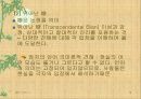 도가사상 프리젠테이션 자료입니다. 19페이지