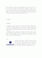 기업의 해외진출 성공사례(남영L&F) 3페이지