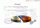 마케팅 사례분석 민들레영토 16페이지