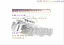 마케팅 사례분석 민들레영토 32페이지