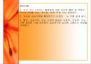 불안장애(범불안장애,강박장애,공황장애) 5페이지