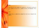불안장애(범불안장애,강박장애,공황장애) 13페이지