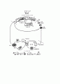 Toxoplasma gondii 3페이지