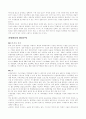 가상현실에 대하여... 2페이지