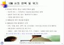 IBM 사의 다운사이징 6페이지