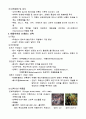 르네상스시대와 바로크시대의 건축 4페이지