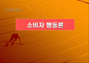 소비자행동 분석 1페이지