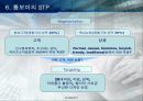톰보이 마케팅 전략 34페이지