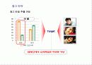 OB맥주 커뮤니케이션 전략 및 광고(매체) 기획서 26페이지