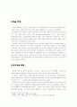 진정한 미국인이란?-벤자민 플랭클린을 중심으로 3페이지