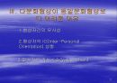 국제협상전략과 다문화협상전략 22페이지
