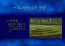 토피어리 8페이지