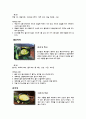 죽의 발달과 종류 2페이지