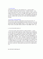 초고속 인터넷 4페이지