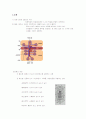 심장의 구조와 해부 생리 5페이지