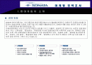 EF 소나타 마케팅 전략조사 2페이지