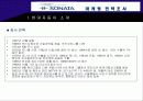 EF 소나타 마케팅 전략조사 3페이지