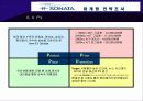 EF 소나타 마케팅 전략조사 10페이지