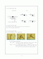 인명구조법 5페이지
