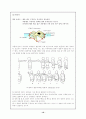 자유형 수영레포트 10페이지