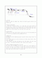 자유형 수영레포트 21페이지