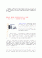 바우하우스가 현대 디자인에 미친영향 2페이지