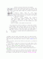 바우하우스가 현대 디자인에 미친영향 5페이지