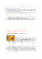 바우하우스가 현대 디자인에 미친영향 6페이지