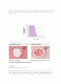 봉합사[suture, 縫合絲]정리  3페이지