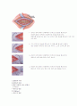 봉합사[suture, 縫合絲]정리  9페이지