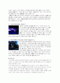싱가폴 관광지와 사회문화 6페이지