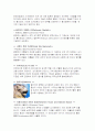 싱가폴 관광지와 사회문화 14페이지