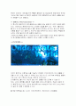 싱가폴 관광지와 사회문화 24페이지
