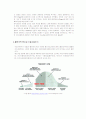캐즘마케팅 (CHASM) 2페이지