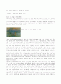 Vincent van Gogh 2페이지