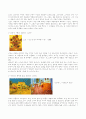 Vincent van Gogh 6페이지