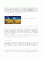 Vincent van Gogh 7페이지