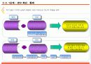 임파워링을 위한 조직 체계 개발 18페이지