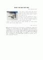  환경오염실태 스크랩 3페이지