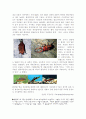  환경오염실태 스크랩 5페이지