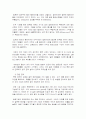 소니의 글로벌 마케팅 사례연구 9페이지