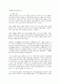 소니의 글로벌 마케팅 사례연구 11페이지