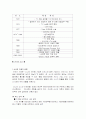 소니의 글로벌 마케팅 사례연구 14페이지