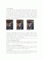 카메라와 정사진 18페이지