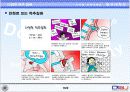  허리디스크에 관한 보고서 4페이지