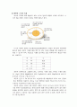  계란-달걀의 구조와 특성및 성분 영양 2페이지