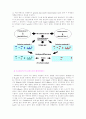 proteomics(프로테오믹스) 6페이지