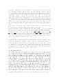 동화에 나타난 여성상 4페이지