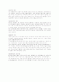 필립스와 마쓰시타의 대응 전략 3페이지